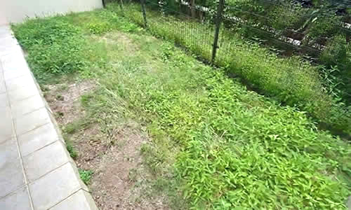 マンション専用庭 before