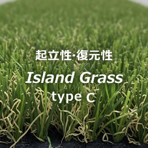 Island Grass タイプC