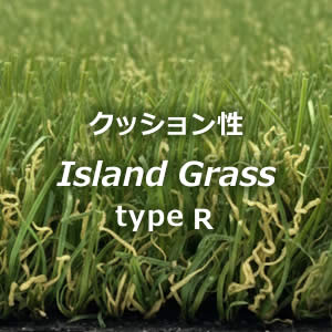 Island Grass タイプR