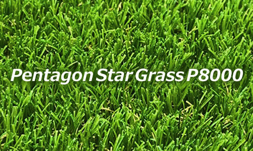 Pentagon Star Grass 30mm