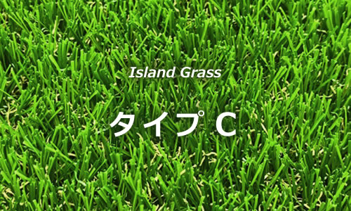 Island Grass タイプC