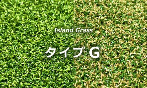 Island Grass タイプG