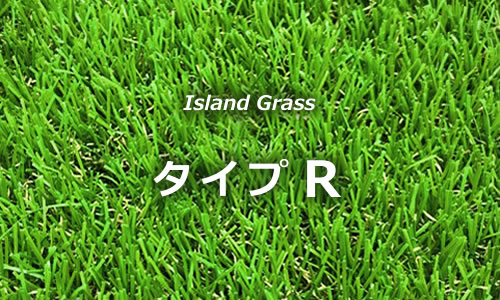 Island Grass タイプR