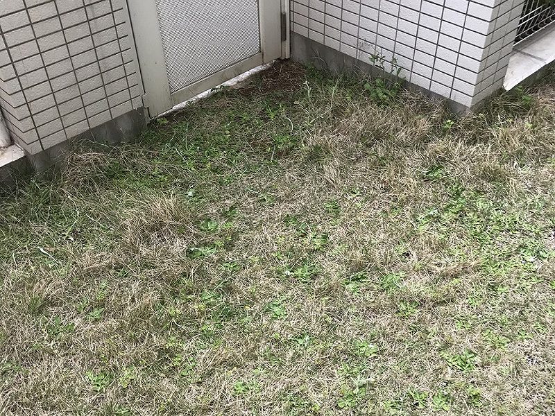 京都市Y様 マンション専用庭の人工芝