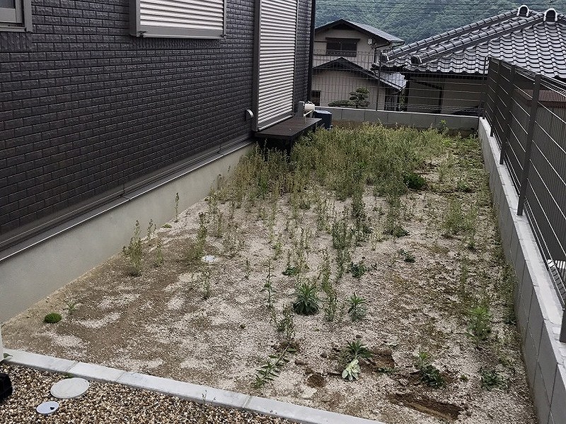 兵庫県川西市M様邸 お庭の人工芝施工