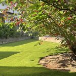 南河内郡Ｄ様 お庭の人工芝