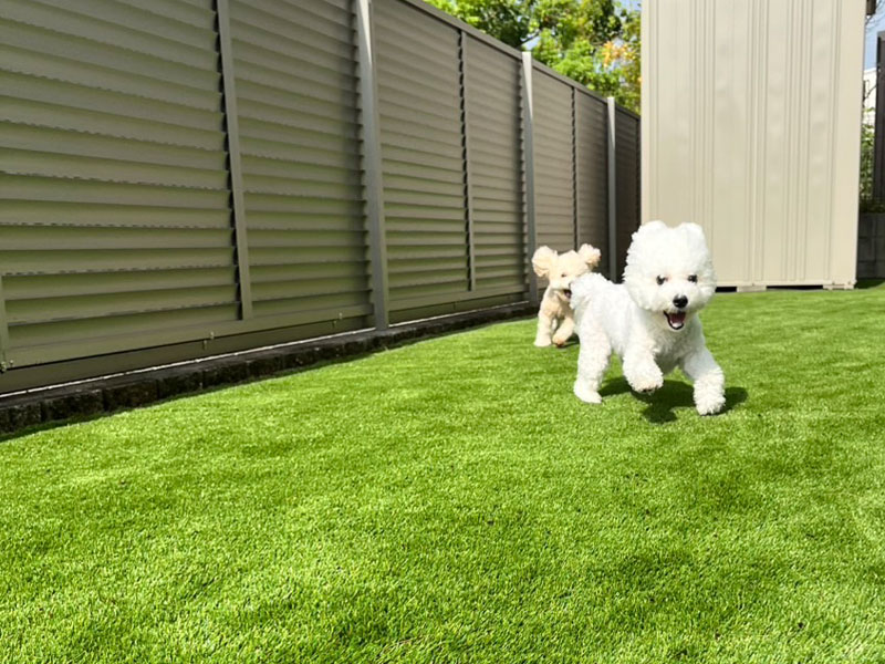 京田辺市Ｓ様 フェンスと人工芝ドッグラン