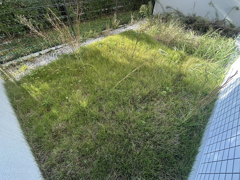 吹田市Ｍ様 マンション専用庭の人工芝