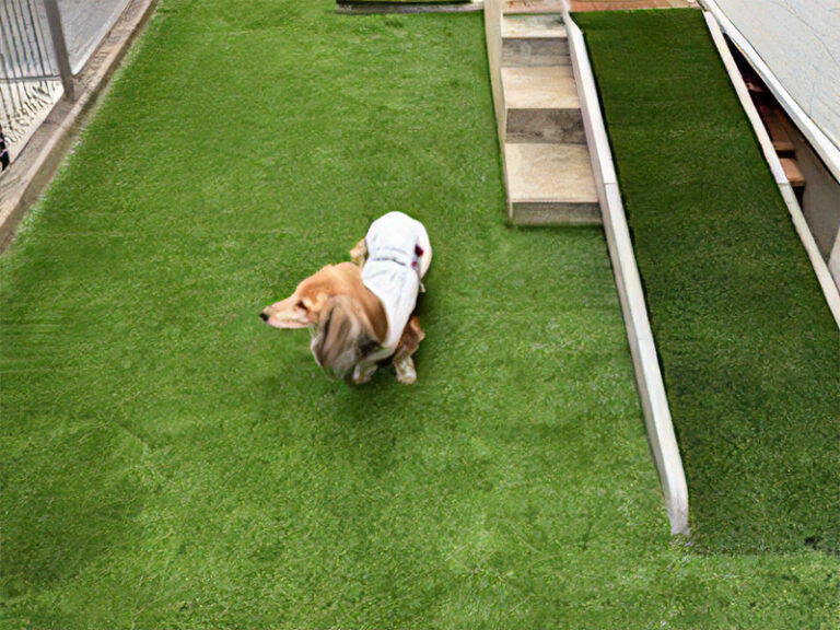 茨木市Ｎ様 人工芝のドッグラン